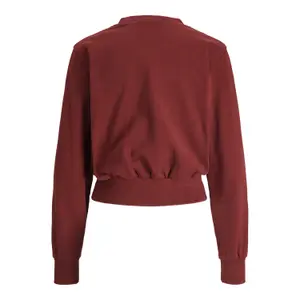 Sweatshirt Frau JJXX Bella Relaxed Vint image-1