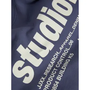 Dames sweatshirt JJXX Beatrice Loose Vint Noos image-2