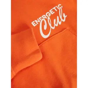Women's hooded sweatshirt JJXX bailey image-3