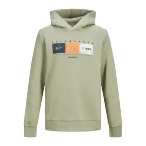 Child hoodie Jack & Jones Jorbrady image-0