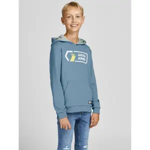 Child hoodie Jack & Jones Jcologan image-5