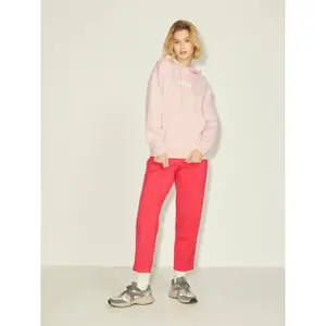 Sweat à capuche femme JJXX Jxmaddie image-3