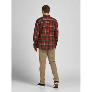 Hose Jack & Jones Ollie jagger Sa Beige Noos image-4