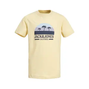Child's T-shirt Jack & Jones Malibu Branding Crew image-0