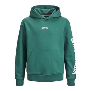 Sweatshirt hooded child Jack & Jones Oli Skater LN image-0