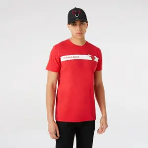 Camiseta Chicago Bulls 2021/22 image-0