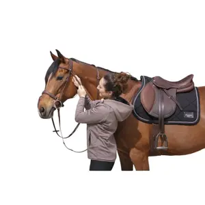 Jumping Saddle Eric Thomas DTA Antares