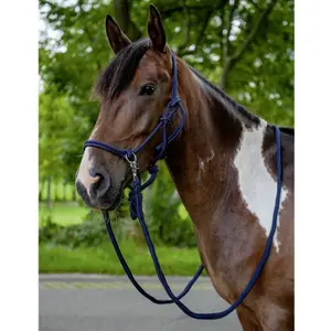 Headcollar and Lead Rope Set for Horse with Reins HKM image-2