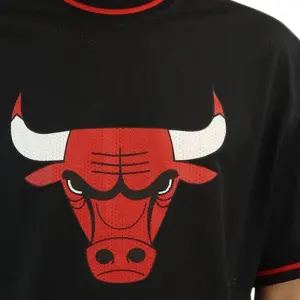 T-shirt a manica corta Chicago Bulls Mesh Logo image-5