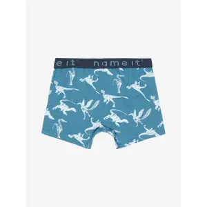 Set of 2 boys' boxers Name it Dino image-2