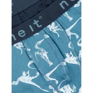 Set of 2 boys' boxers Name it Dino image-4