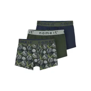 Pack of 3 children's underpants Name it Rosin aop image-0