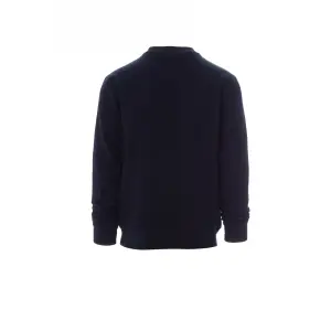 Payper New Orleans crew neck sweatshirt image-5