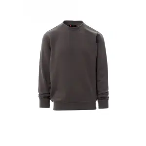 Payper New Orleans crew neck sweatshirt image-0