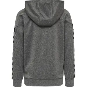 Sudadera con capucha y cremallera para niños Hummel auth charge image-1