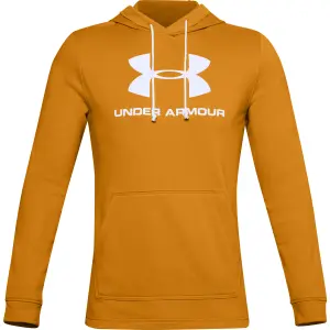Felpa con cappuccio Under Armour Sportstyle Terry Logo image-0