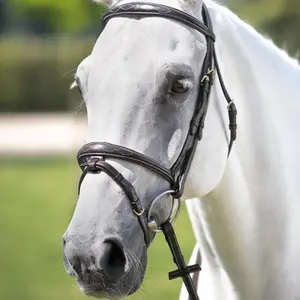 Fita de cabeça e correia de pescoço bordada Tattini image-0