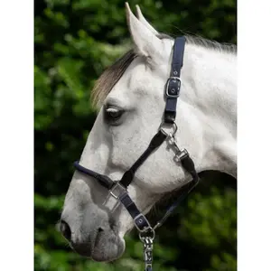 Halfter für Pferd HKM Carlotta image-1