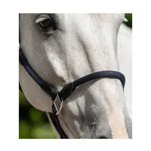 Halfter für Pferd HKM Carlotta image-2