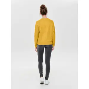 Jumper för kvinnor Only onllesly kings image-1