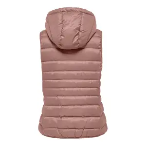 Gilet à capuche femme Only Newtahoe image-5