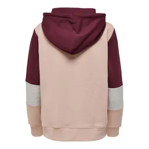 Sweatshirt för kvinnor Only onlpear life blocking image-1
