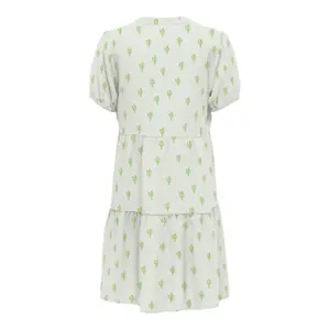 Frauenkleid Only onlnova lux aop image-1