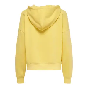 Sweatshirt för kvinnor Only onlcollege life image-1