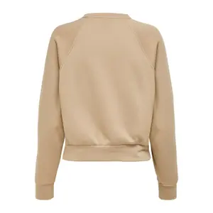 Sweatshirt för kvinnor Only onllula raglan image-1