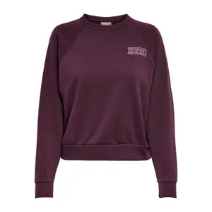 Sweatshirt för kvinnor Only onllula raglan image-0