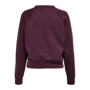 Sweatshirt för kvinnor Only onllula raglan image-2