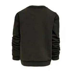 Sweatshirt girl Only kids konlucinda Life image-1