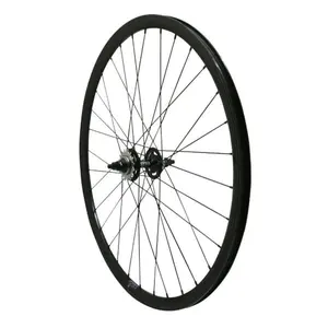 Rear fixie wheel with double thread and sprocket P2R 16 T
