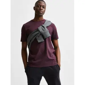 T-shirt Selected manches courtes Col rond Norman 180 rayé image-2