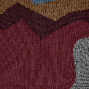 Socken Falke TK2 Crest image-6