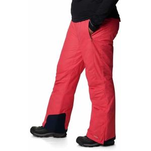 Pantalón de esquí Columbia Bugaboo OH image-2