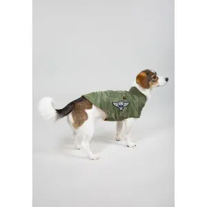 Sierść psa Alpha Industries MA-1 Nylon Flight image-1