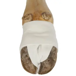 Bendaggi Kerbl CottinoStar (x6) image-2