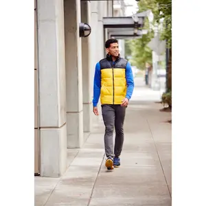 Sleeveless jacket Columbia Pike Lake image-5