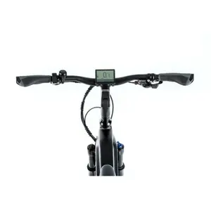 Elektrofahrrad Leader Fox Sandy 2021 28'' image-5