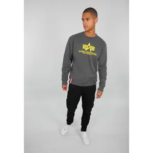 Sweat Alpha Industries Basic image-1