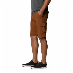 Short Columbia Cargo Silver Ridge II image-2