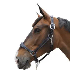 Leather halter Flags&Cup Paris image-1