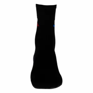 Chaussettes Le Coq Sportif Essentiels Classique 6 image-1