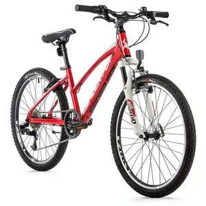 Bicicleta niña Leader Fox Spider 2023 24 image-0