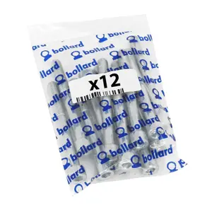 Bag of 12 hexagon socket screws P2R image-3