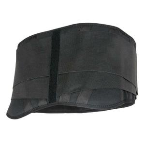 Royal Lumbar Belt Back on Track image-3