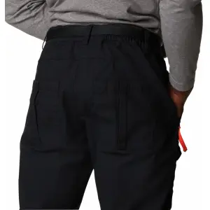 Pants Columbia Field ROC Cargo image-5
