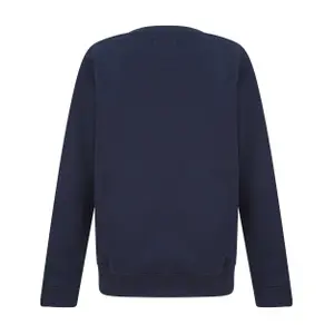 Sweat child Alpha Industries NASA Reflective image-1
