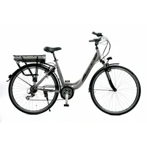 Elektrofahrrad Minerva Estrel C-motor Acera 49 image-0